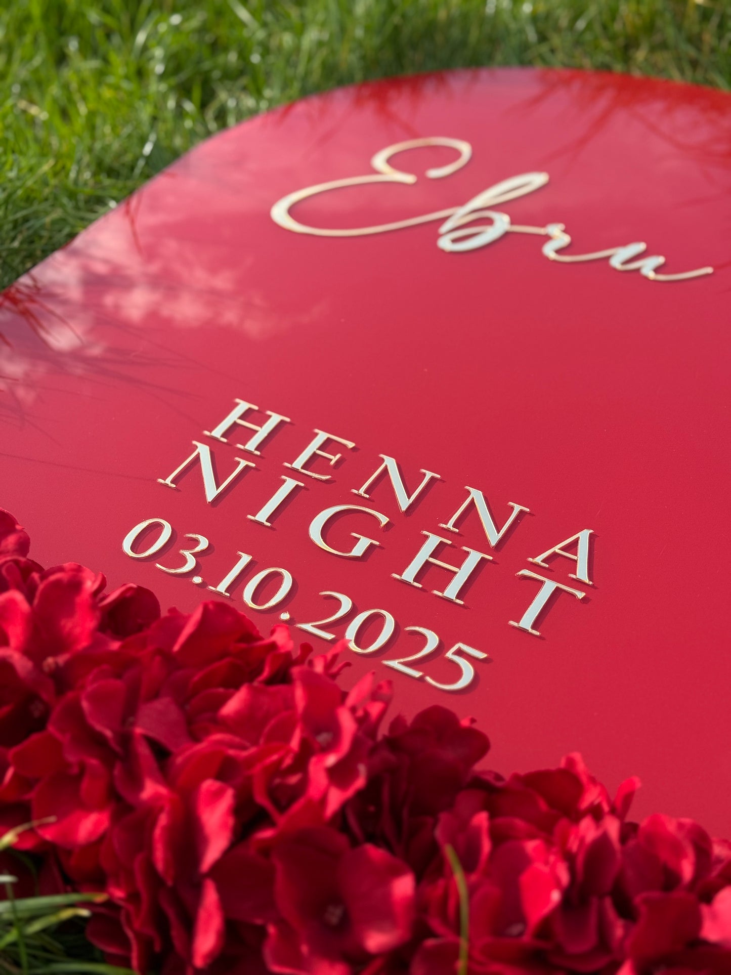 Panneau d'entré Flyva