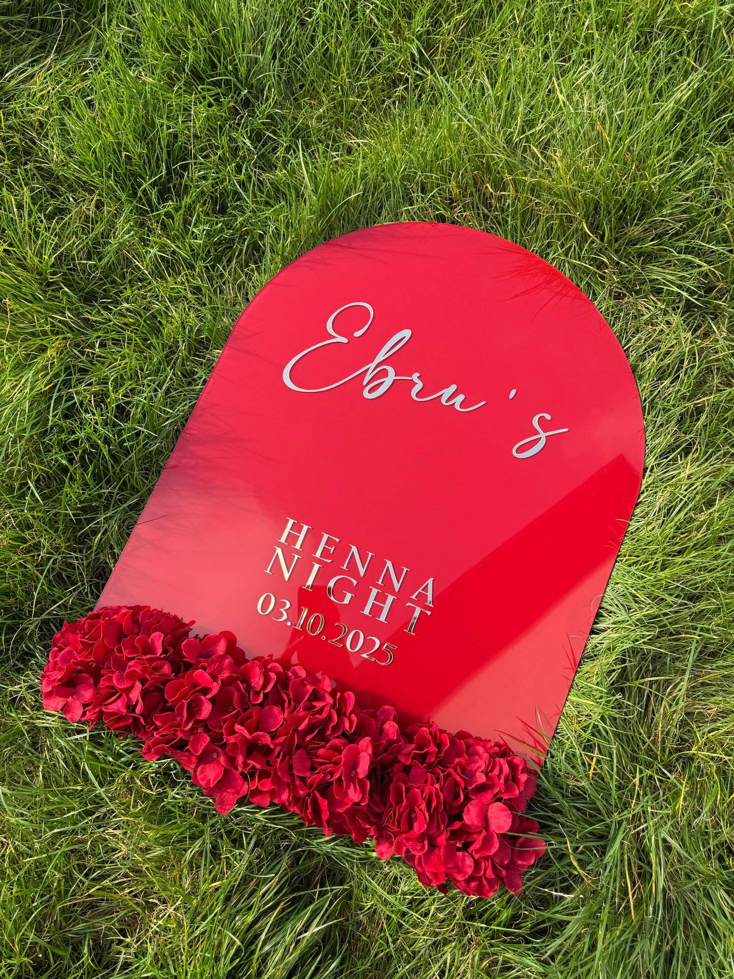 Panneau d'entré Flyva